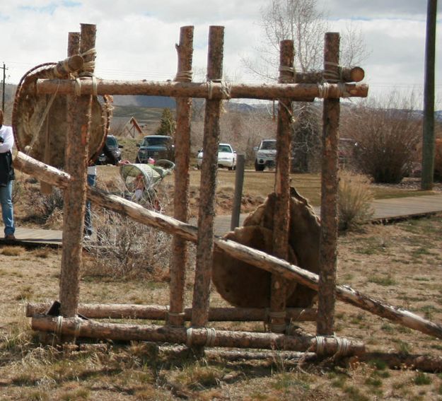 Beaver Press. Photo by Dawn Ballou, Pinedale Online.