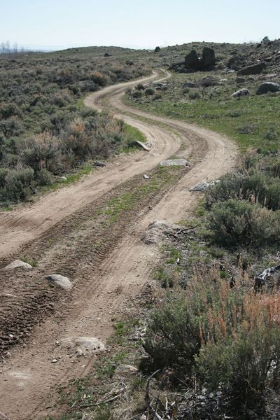 Windy two track. Photo by Dawn Ballou, Pinedale Online.