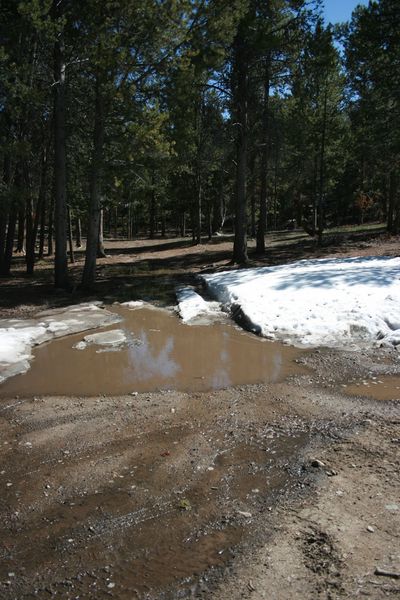 Meadow Lake dispersed campsite. Photo by Dawn Ballou, Pinedale Online.