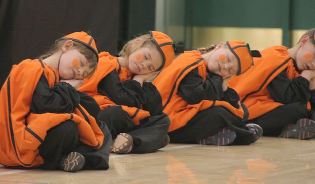 Sleeping Pumpkins. Photo by Tim Ruland, Pinedale Fine Arts Council..