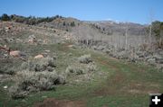 Burnt Lake two track. Photo by Dawn Ballou, Pinedale Online.