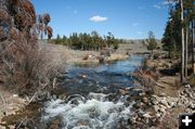 Fall Creek. Photo by Dawn Ballou, Pinedale Online.