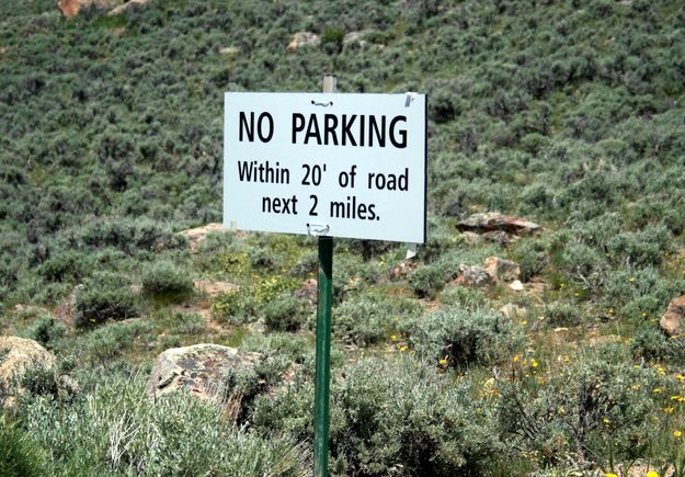 No Parking. Photo by Dawn Ballou, Pinedale Online.