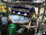 Wash, Rinse, Disinfect. Photo by Dawn Ballou, Pinedale Online.