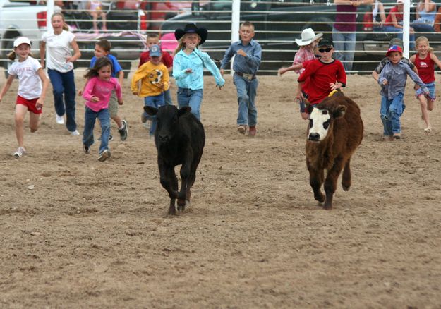 Calf Scramble. Photo by Pinedale Online.