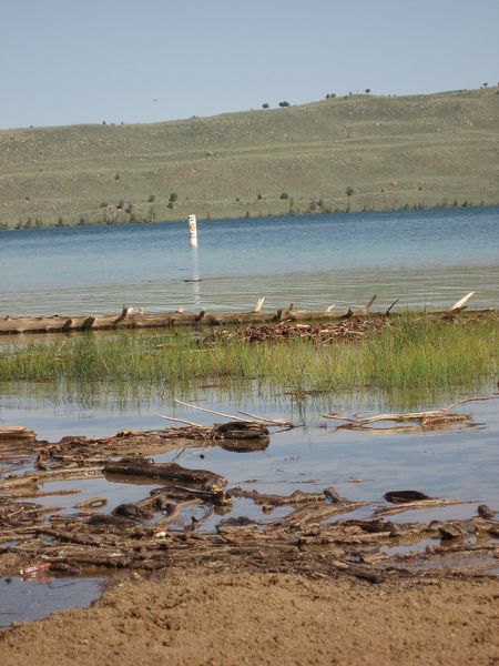 What Beach?. Photo by Casey Dean, Pinedale Online.