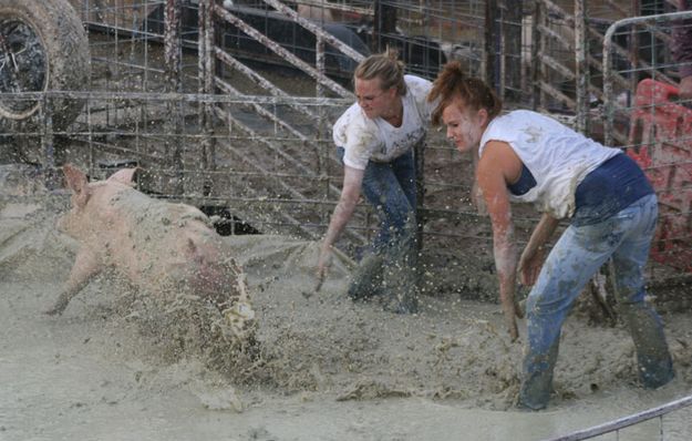 Mudders. Photo by Dawn Ballou, Pinedale Online.