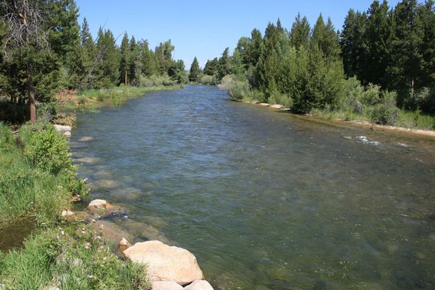 Pine Creek. Photo by Dawn Ballou, Pinedale Online.