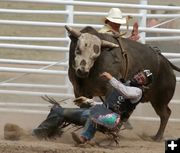 Bull Riding. Photo by Pinedale Online.