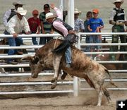 Bull Riding. Photo by Pinedale Online.