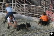 Greased Pig Contest. Photo by Dawn Ballou, Pinedale Online.