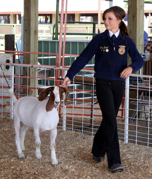 Amy David. Photo by Clint Gilchrist, Pinedale Online.