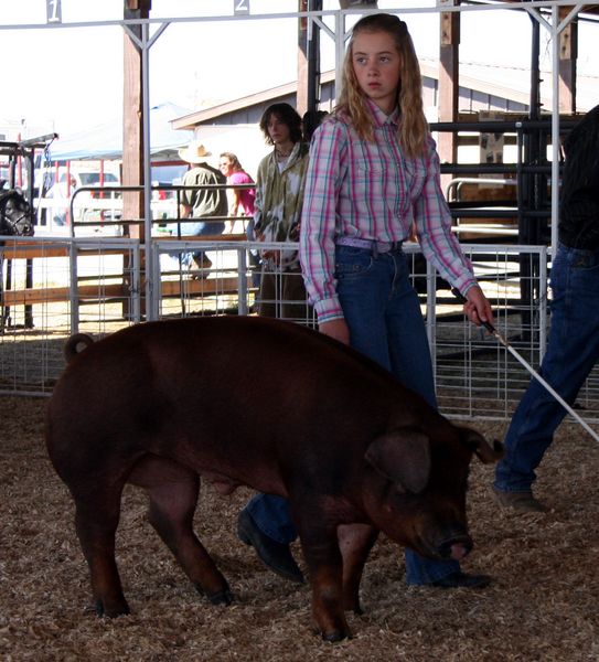 Brookely Schamber. Photo by Clint Gilchrist, Pinedale Online.