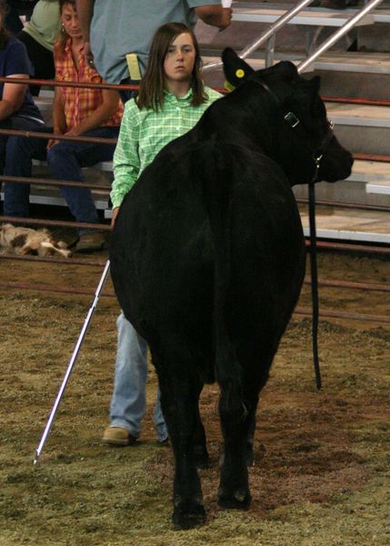 Cassidy Jensen. Photo by Clint Gilchrist, Pinedale Online.