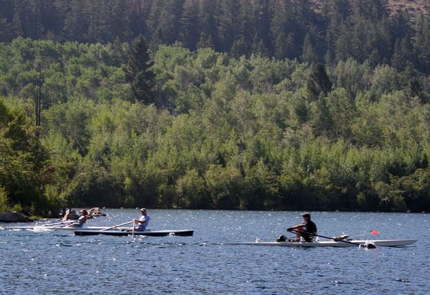 Rowing Race. Photo by Mindi Crabb.