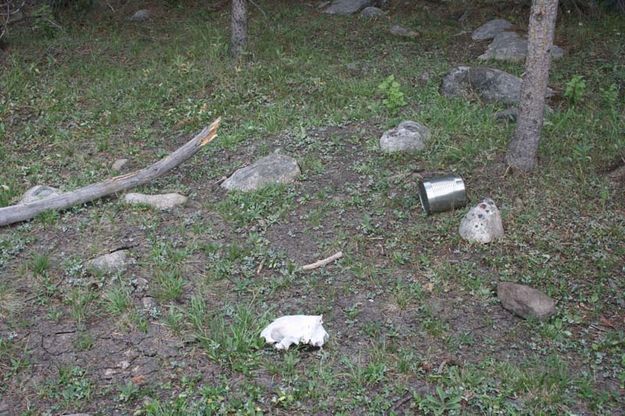 Discarded can. Photo by Dawn Ballou, Pinedale Online.