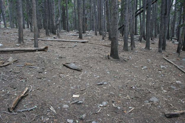 Lovin Ovens Camp - After. Photo by Dawn Ballou, Pinedale Online.