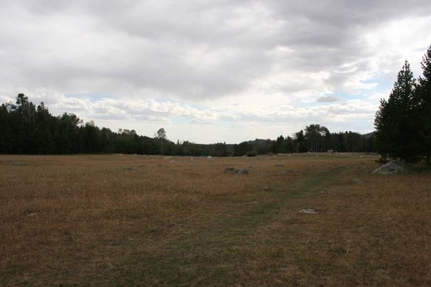 Main Meadow - After. Photo by Dawn Ballou, Pinedale Online.