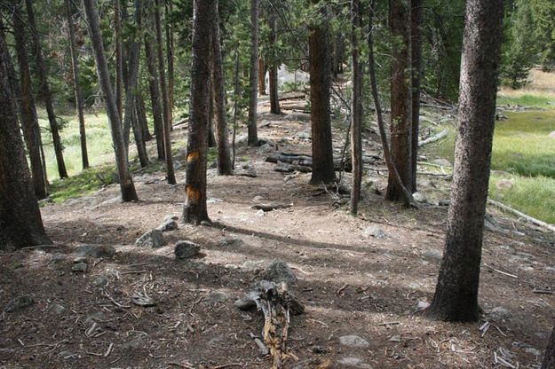 Trail After. Photo by Dawn Ballou, Pinedale Online.