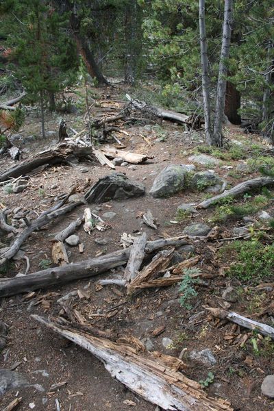 Scattered debris. Photo by Dawn Ballou, Pinedale Online.