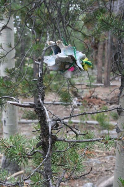 Tree ornament. Photo by Dawn Ballou, Pinedale Online.