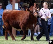 Laney Johnston. Photo by Clint Gilchrist, Pinedale Online.