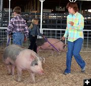 Rochelle Stevie. Photo by Clint Gilchrist, Pinedale Online.