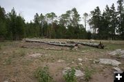 Big Fire Circle Pit - After. Photo by Dawn Ballou, Pinedale Online.