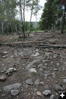 Sticks and rocks on trail. Photo by Dawn Ballou, Pinedale Online.