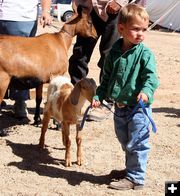 Future Goat Showman. Photo by Clint Gilchrist, Pinedale Online.