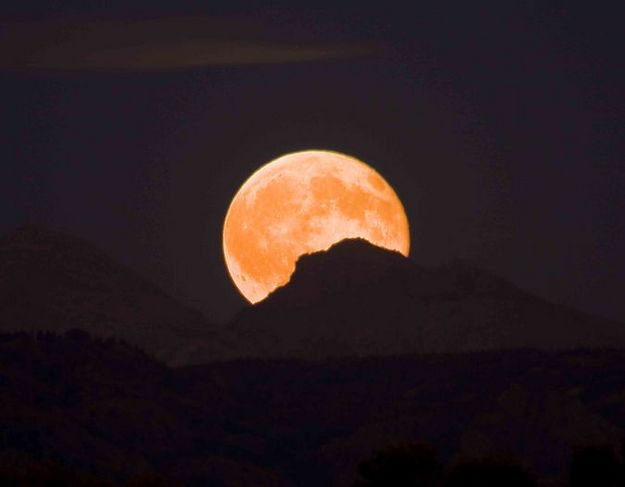 Harvest Moon. Photo by Dave Bell.