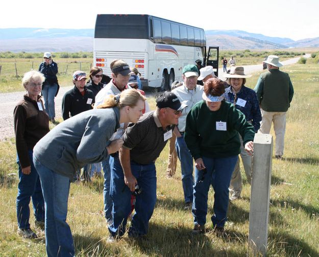 Birth Stone. Photo by Dawn Ballou, Pinedale Online.