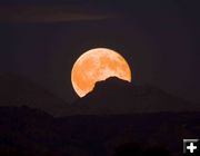 Harvest Moon. Photo by Dave Bell.