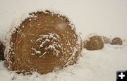 Snow bales. Photo by Dawn Ballou, Pinedale Online.