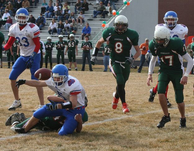 Fumble. Photo by Clint Gilchrist, Pinedale Online.