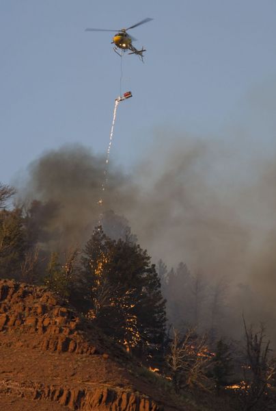 Torching Conifers. Photo by Photo by Mark Gocke, WGFD..