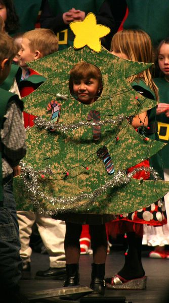 Littlest Christmas Tree. Photo by Pam McCulloch, Pinedale Online.