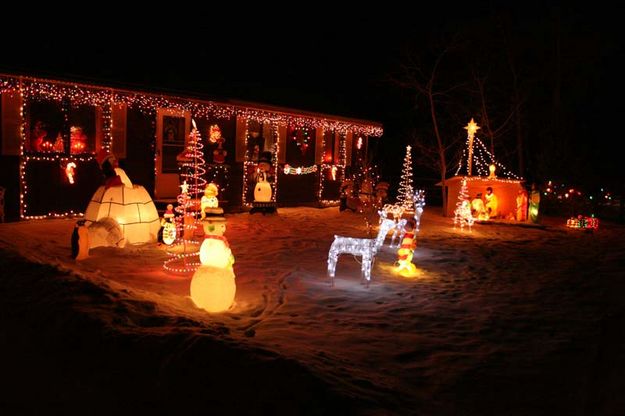 Deer and Snowmen. Photo by Dawn Ballou, Pinedale Online.