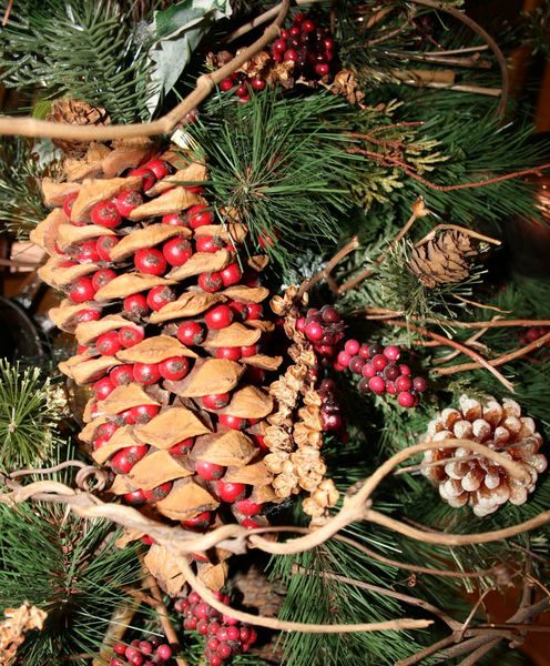 Berry Pine Cones. Photo by Dawn Ballou, Pinedale Online.