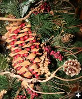 Berry Pine Cones. Photo by Dawn Ballou, Pinedale Online.