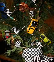 Cars and Checkers. Photo by Dawn Ballou, Pinedale Online.
