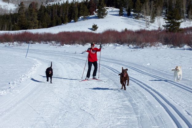 Skiing. Photo by Bob Barrett, Pinedale Ski Education Foundation.