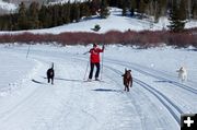 Skiing. Photo by Bob Barrett, Pinedale Ski Education Foundation.