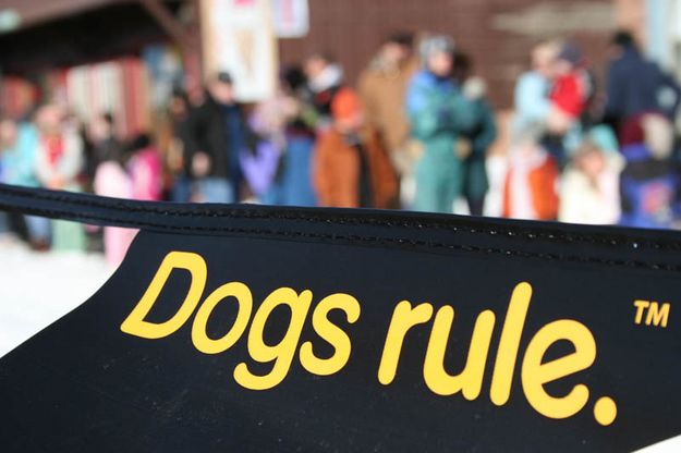 Dogs Rule. Photo by Dawn Ballou, Pinedale Online.