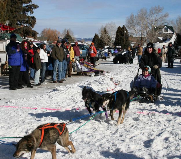 Junior Mushers. Photo by Dawn Ballou, Pinedale Online.