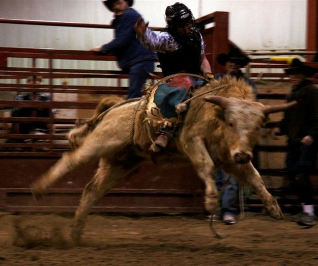 Bull Ride 10. Photo by Carie Whitman.