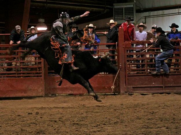 Bull Ride 13. Photo by Carie Whitman.