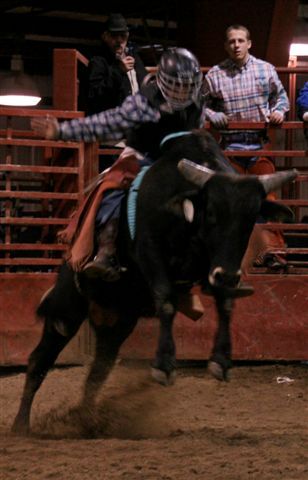 Bull Ride 18. Photo by Carie Whitman.