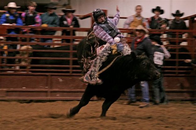 Bull Ride 20. Photo by Carie Whitman.