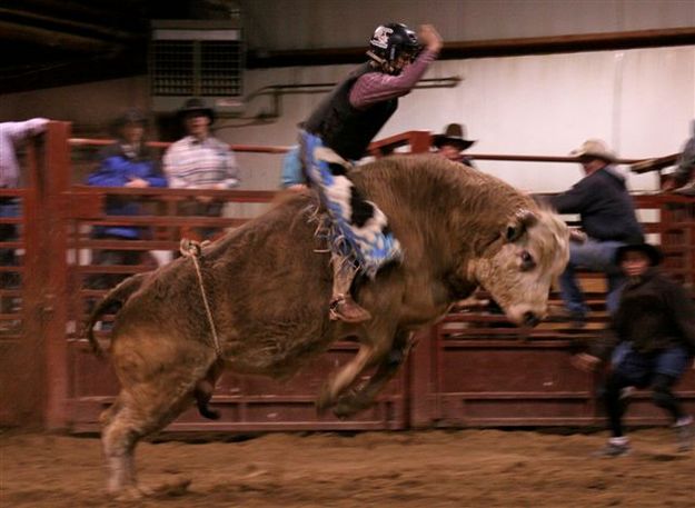 Bull Ride 27. Photo by Carie Whitman.